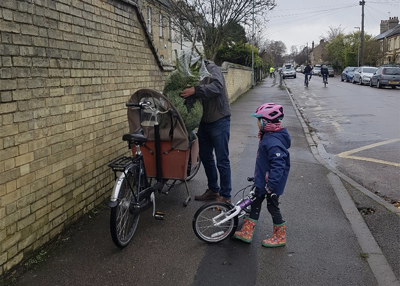 Cargo bike containing a Christmas tree