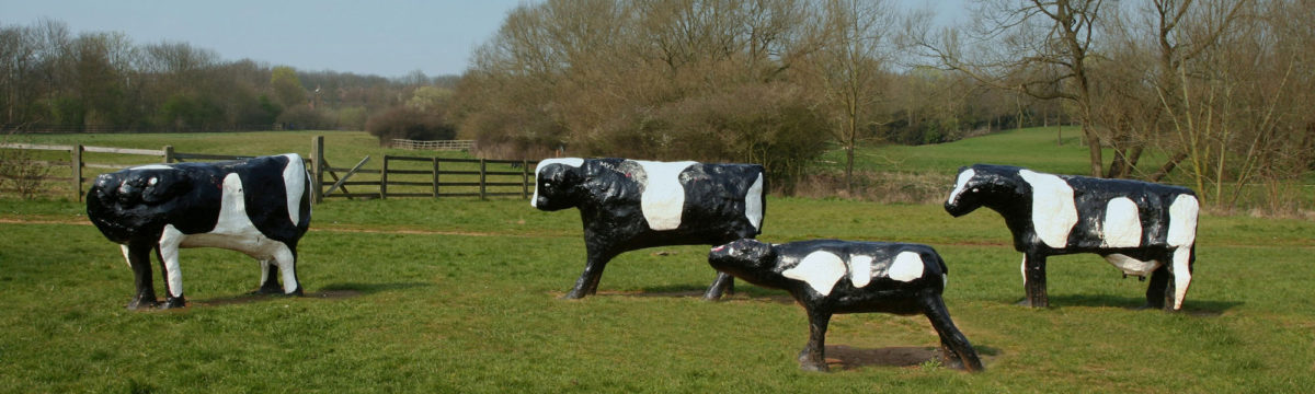 Concrete cows in a field near Milton Keynes