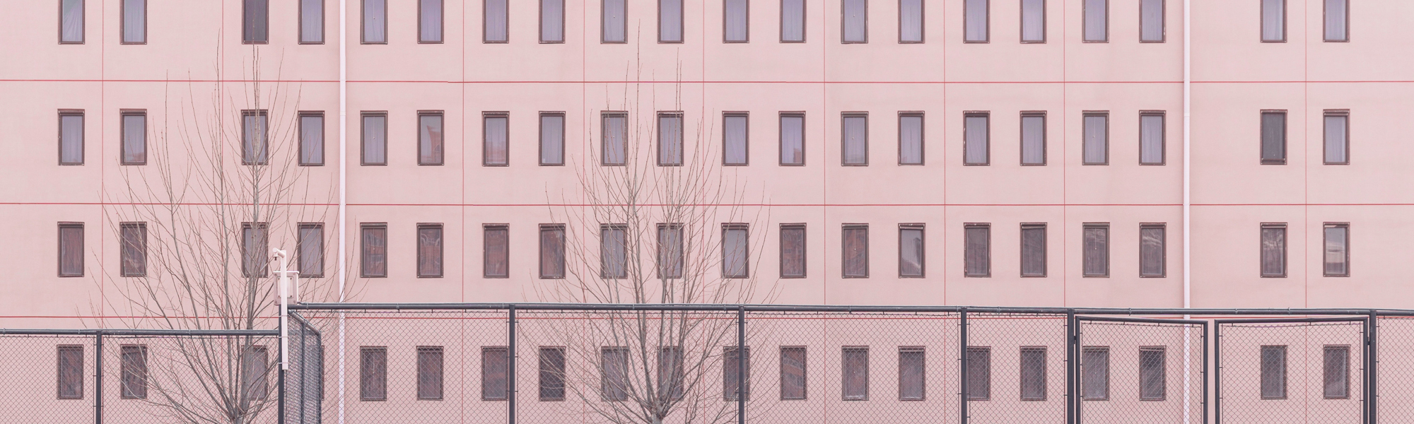 Pink building with trees in winter. Photo by Alexander Tsang on Unsplash