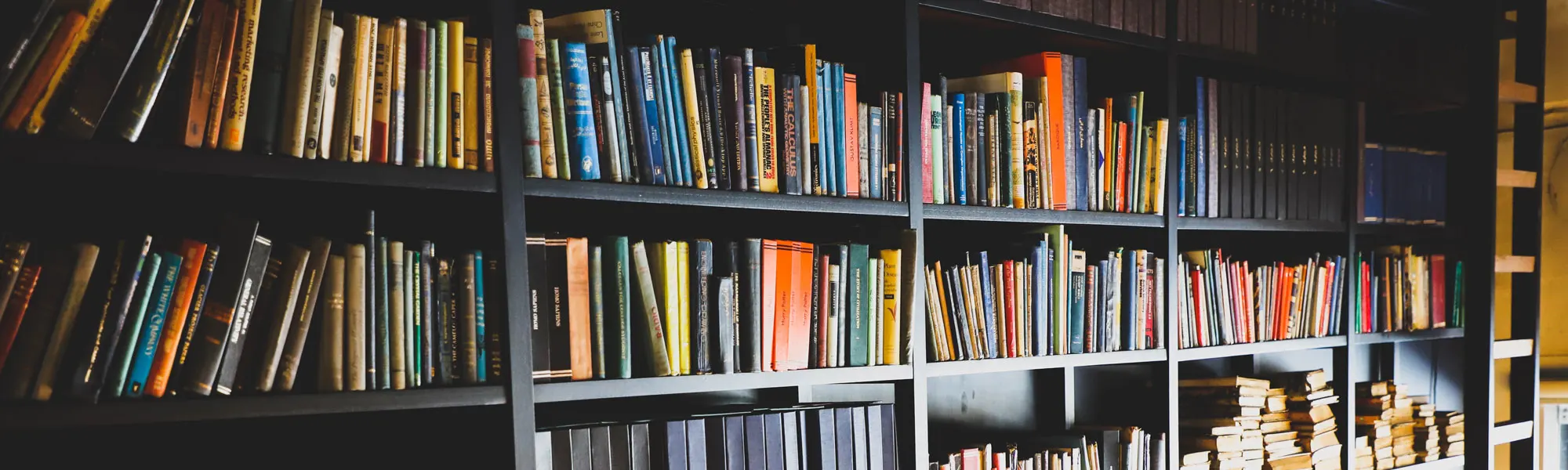 Library image, hoto by Alireza Attari on Unsplash