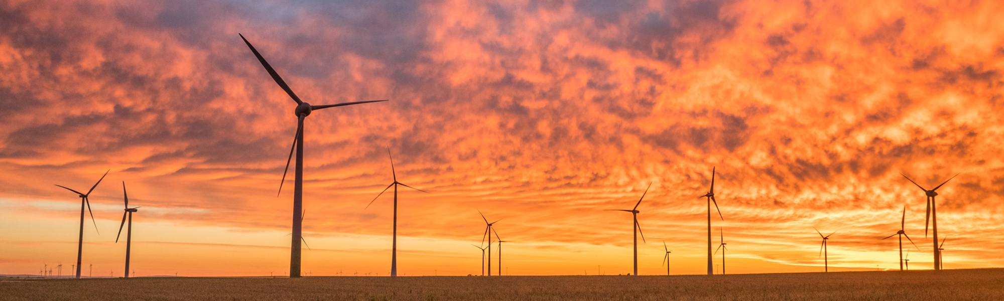 Sunset behind wind turbines. Photo by Karsten Würth (@karsten.wuerth) on Unsplash
