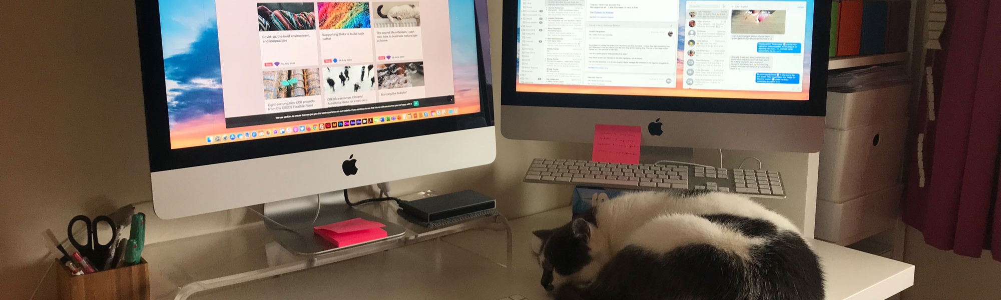 Home office featuring untidy desk and cat. Photo from Steph Ferguson