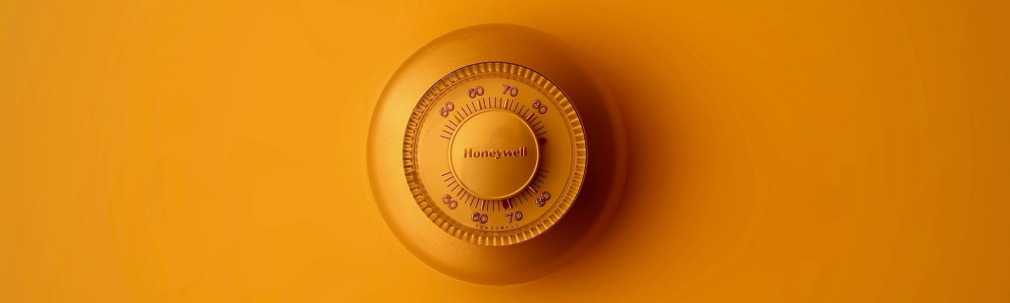 Yellow button Photo by Moja Msanii on Unsplash